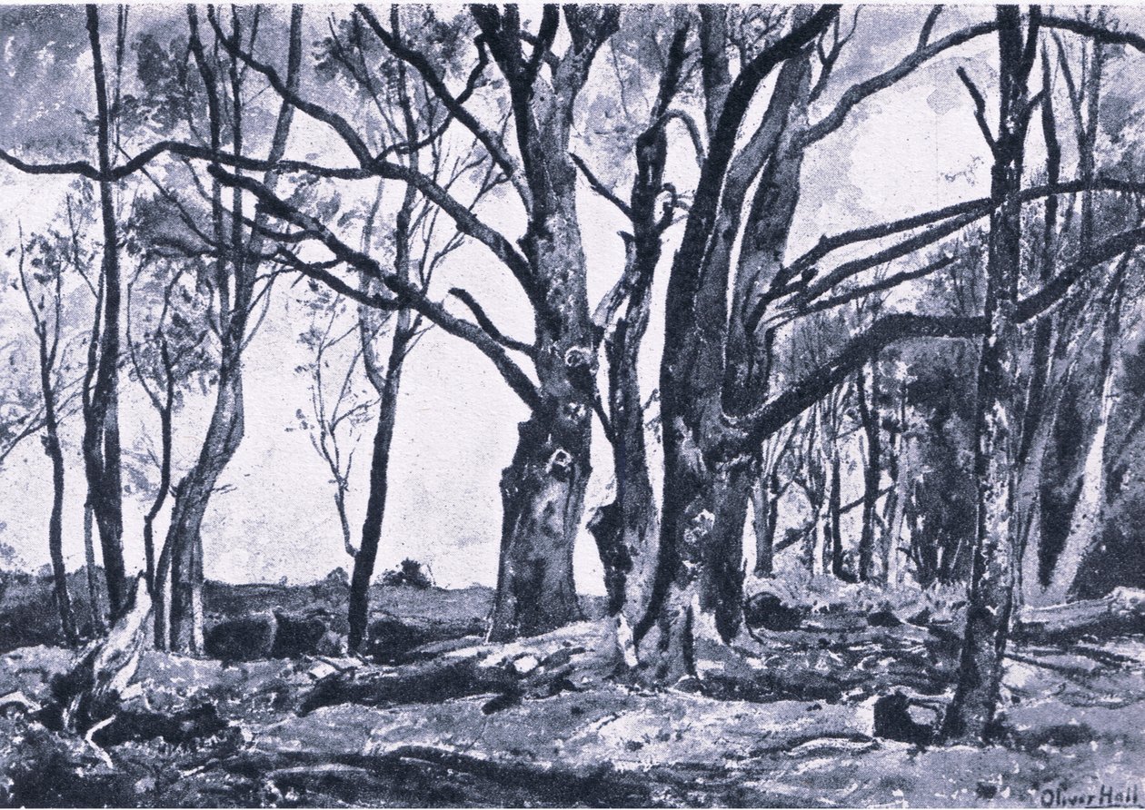 Pollard Willows in Windsor meadows, Nature in Britain publicerad av Collins av James Duffield Harding