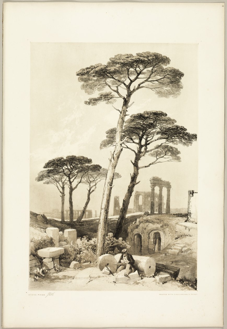 Stone Pines, från Parken och Skogen av James Duffield Harding