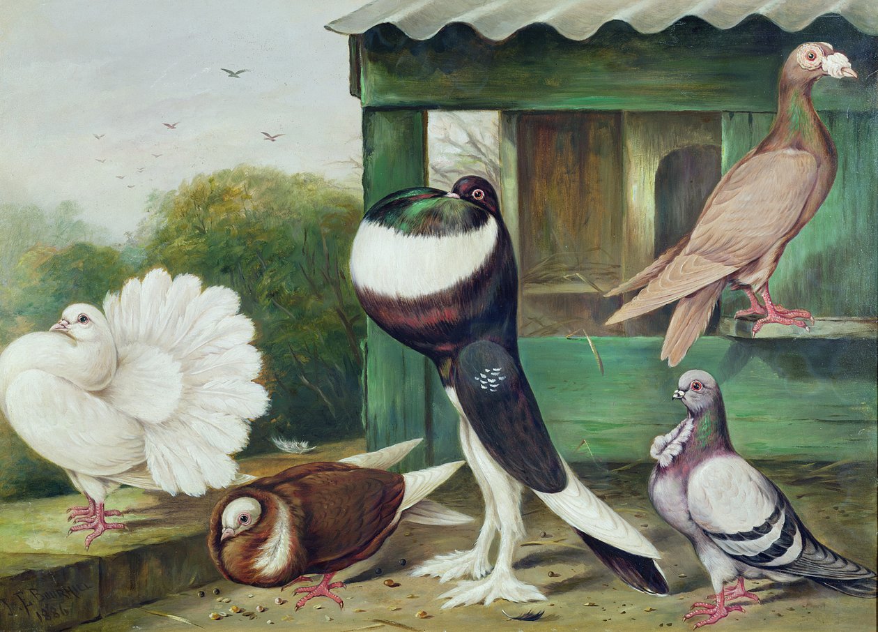 Okänd bild av James E. Bourhill