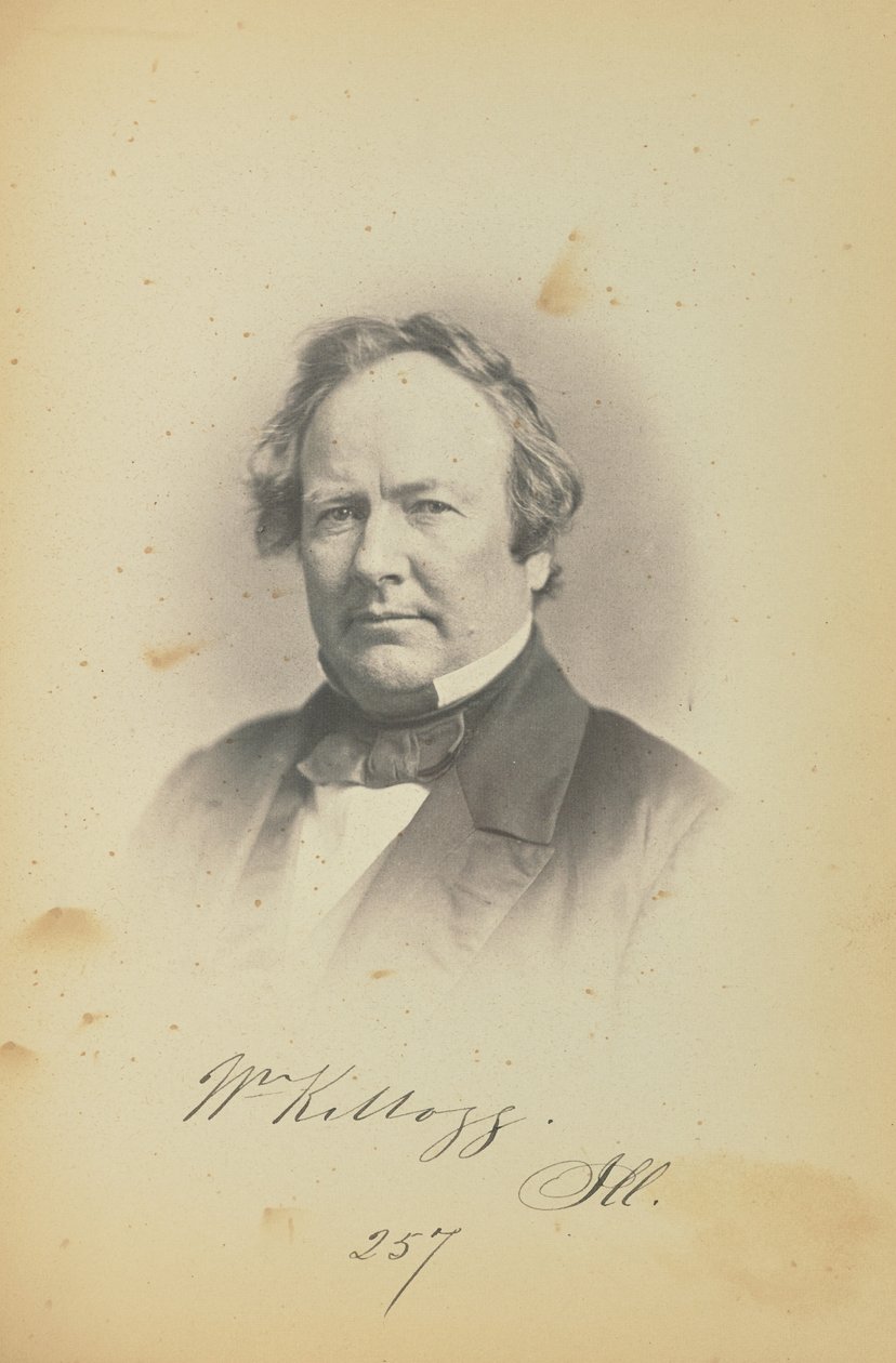 William Kellogg av James Earle McClees