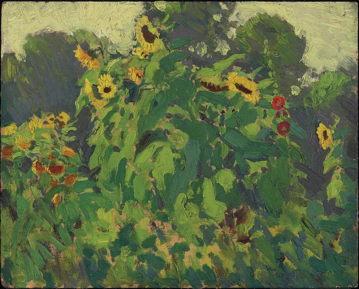 Solrosor, Thornhill, 1916 (olja på komposit trä-massaskiva) av James Edward Hervey Macdonald