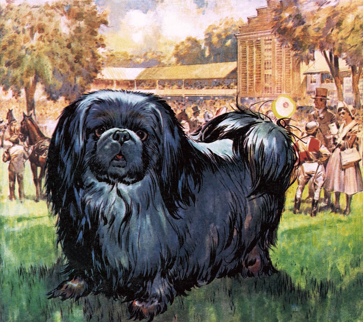 Black Knight. Pekinesisk hund som ägdes av konstnären Sir Alfred Munnings. av James Edwin McConnell