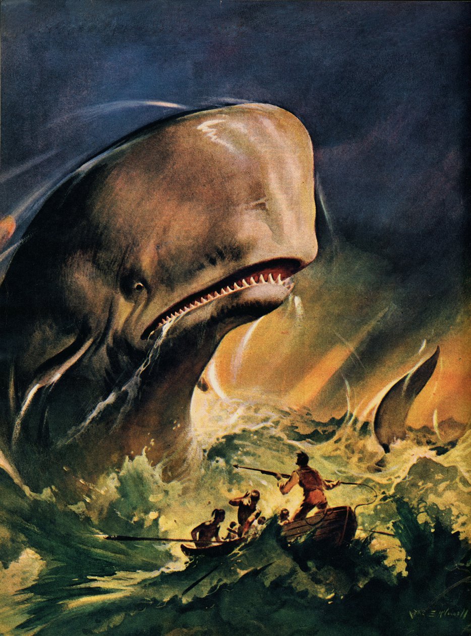 Moby Dick (litografi i färg) av James Edwin McConnell