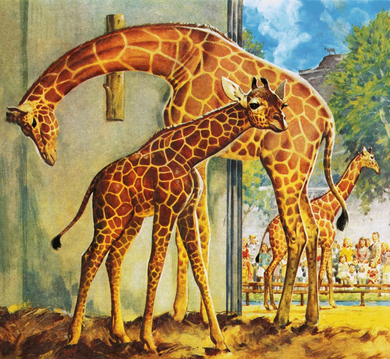 Giraffen Virginia av James Edwin McConnell