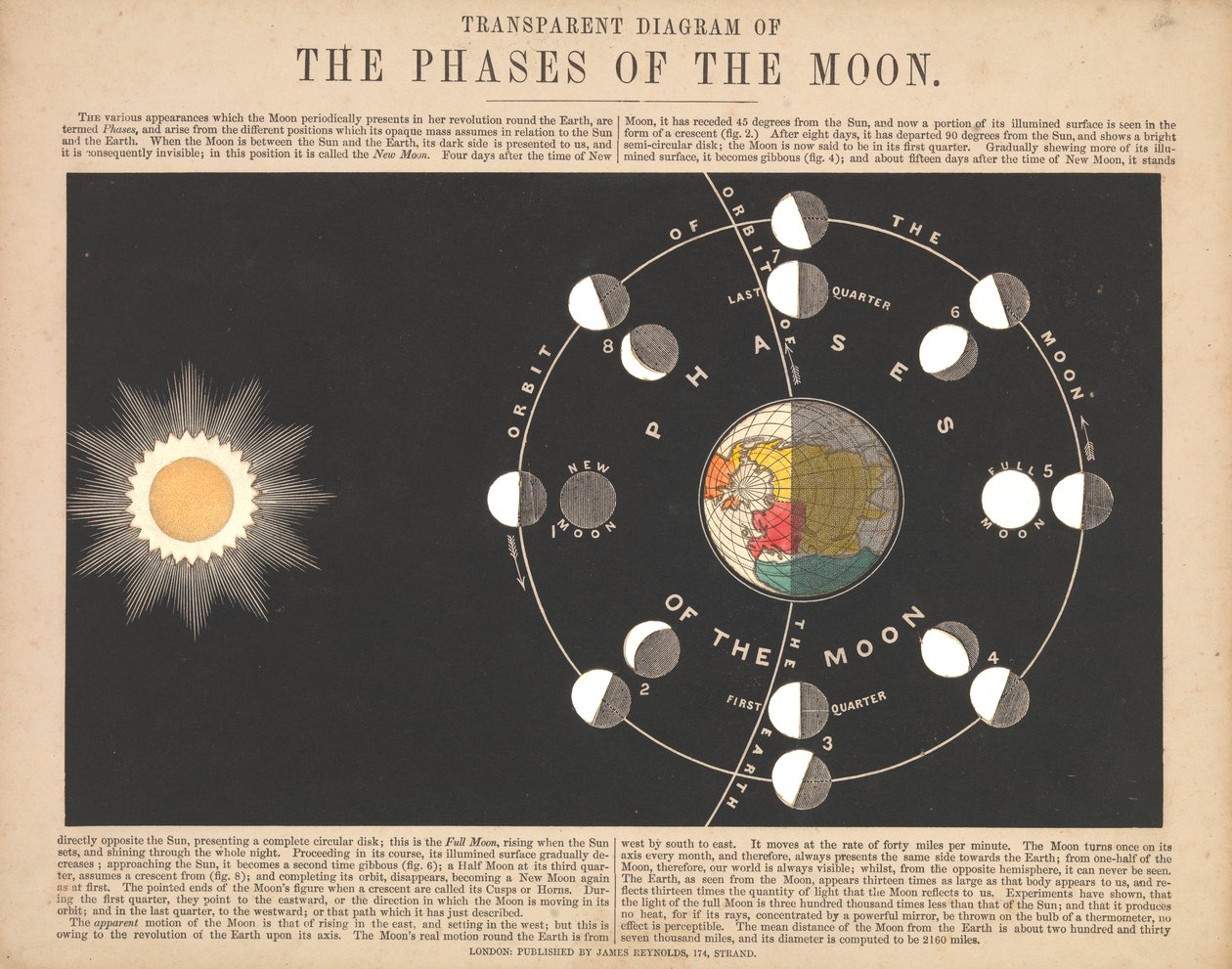 Transparent diagram över månens faser av James & Emslie John (1813 75) Reynolds