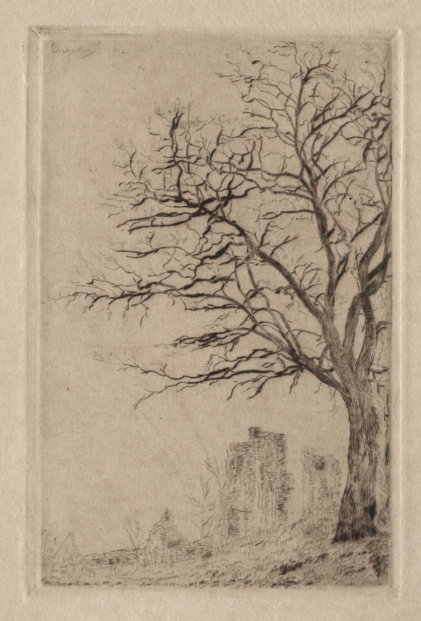 Akacia av James Ensor