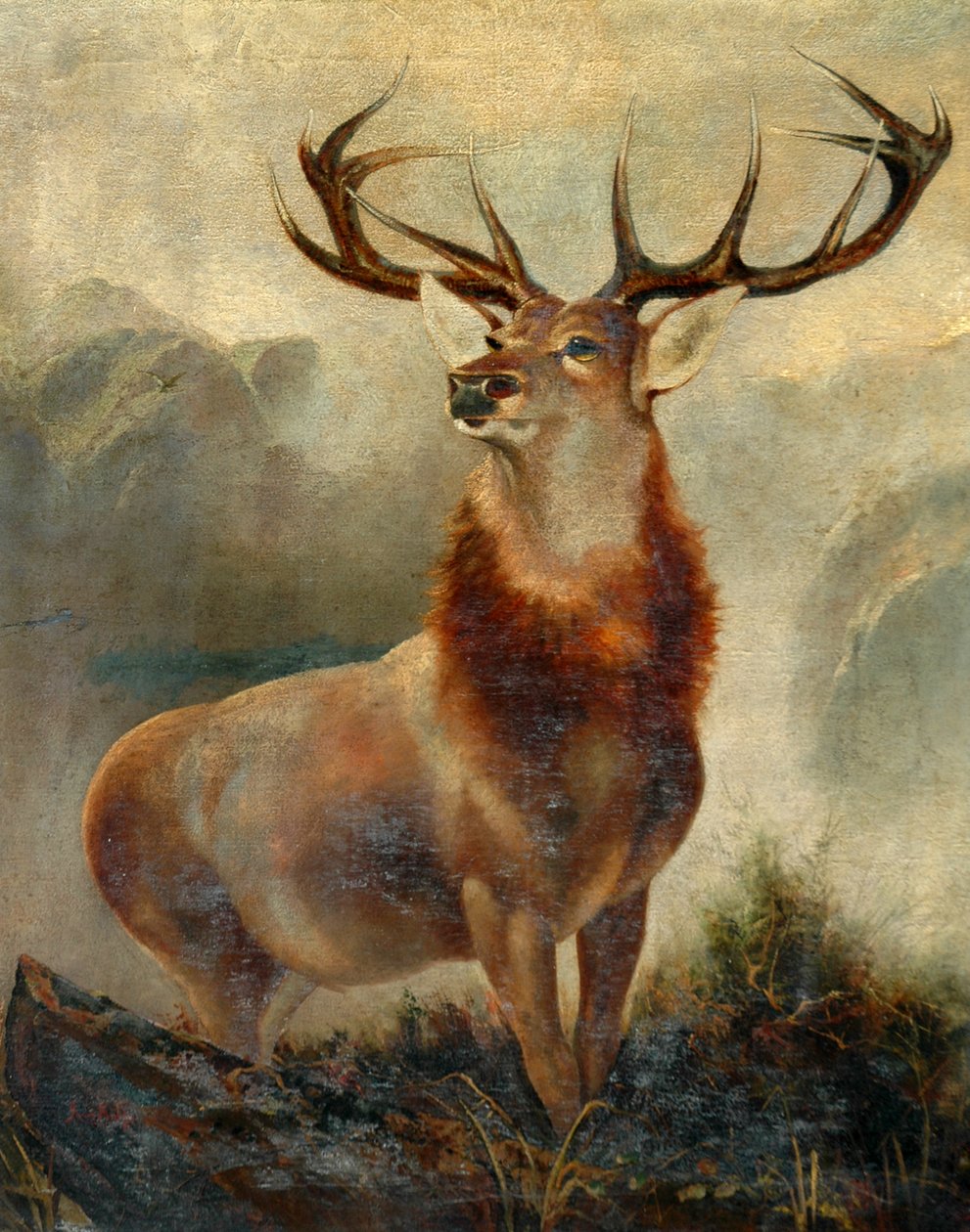 Stag Vid Bay av James Ford