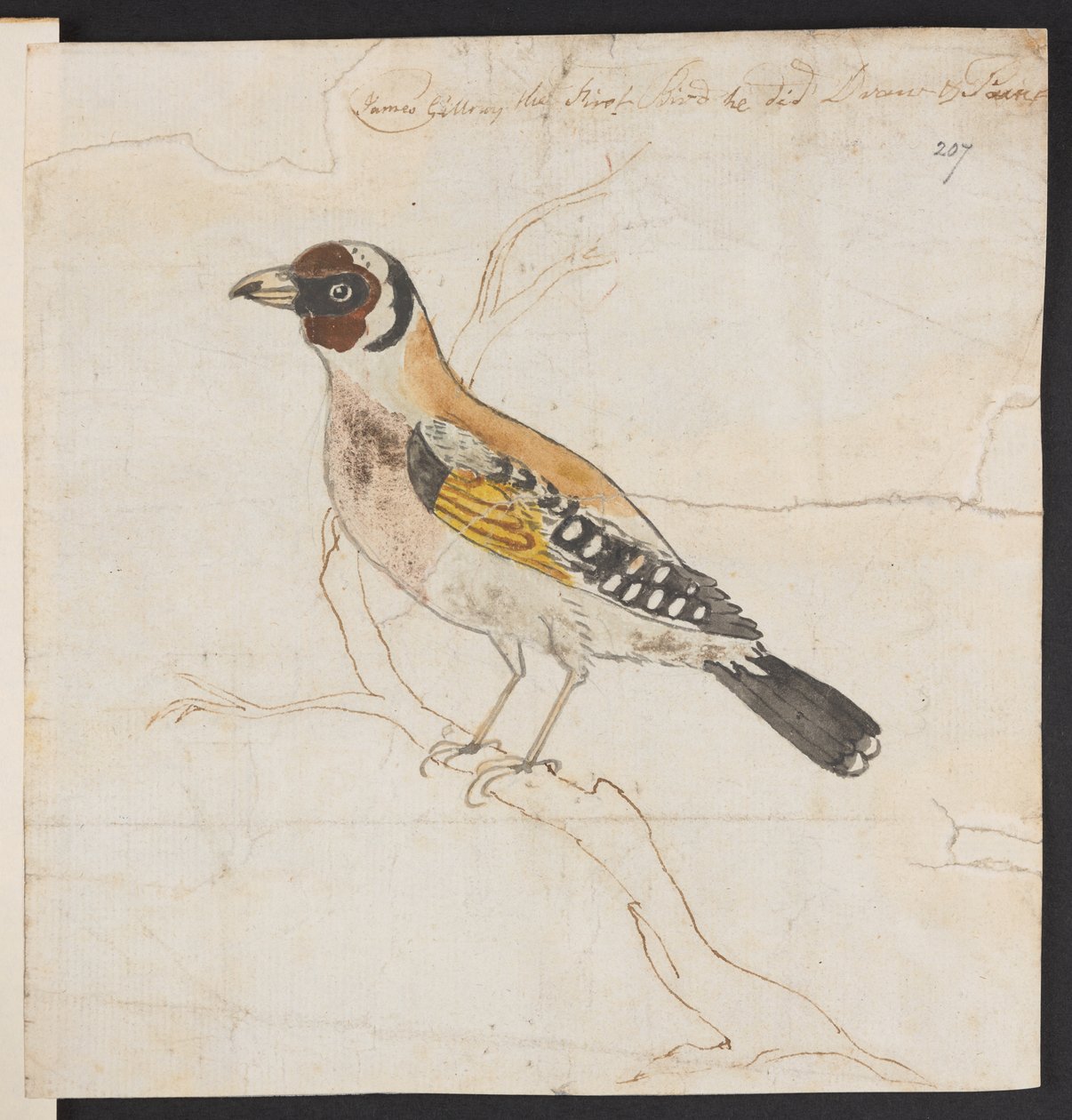 Fågelholkar, ca. 1757-1815 (akvarell och bläck) av James Gillray