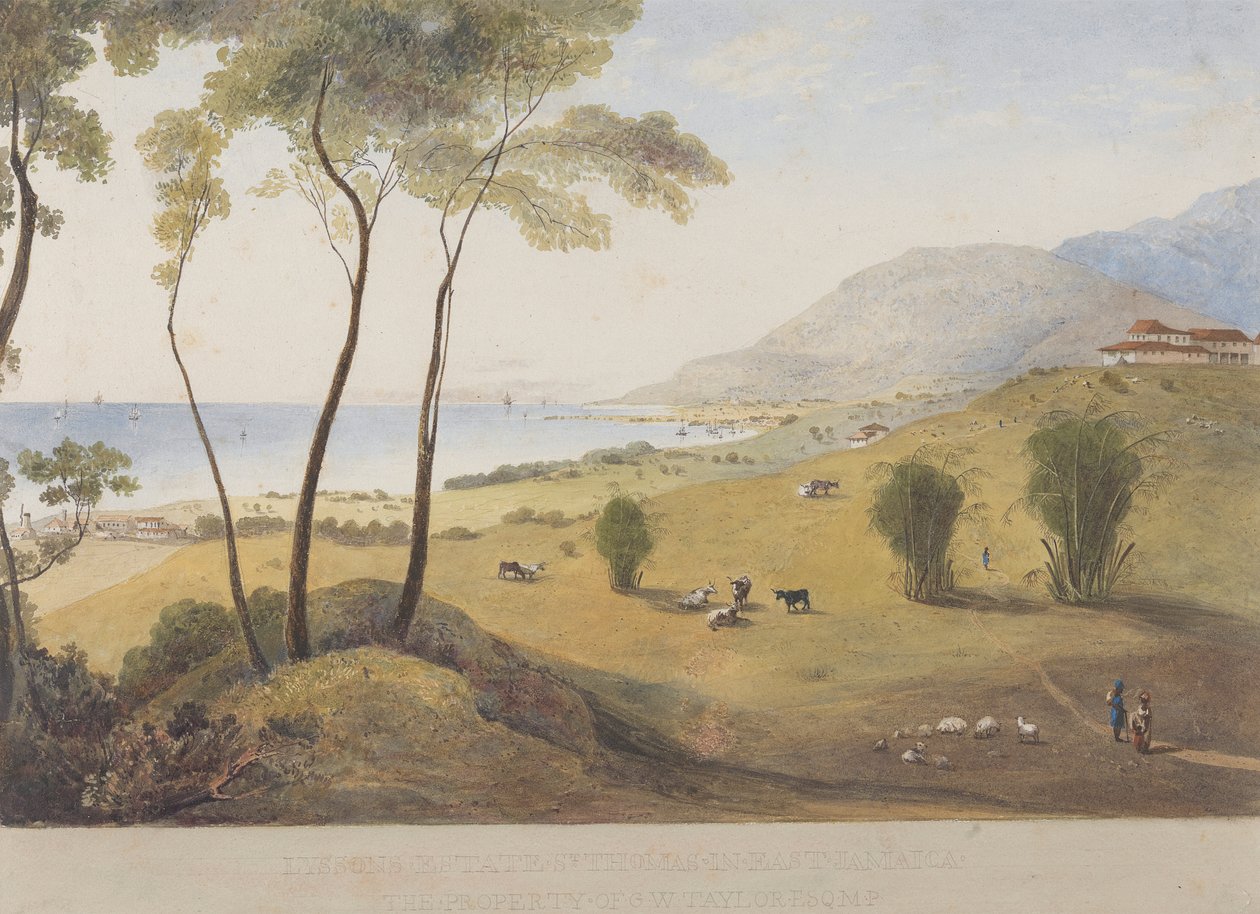 Lyssons Estate, St. Thomas i öst, Jamaica av James Hakewill