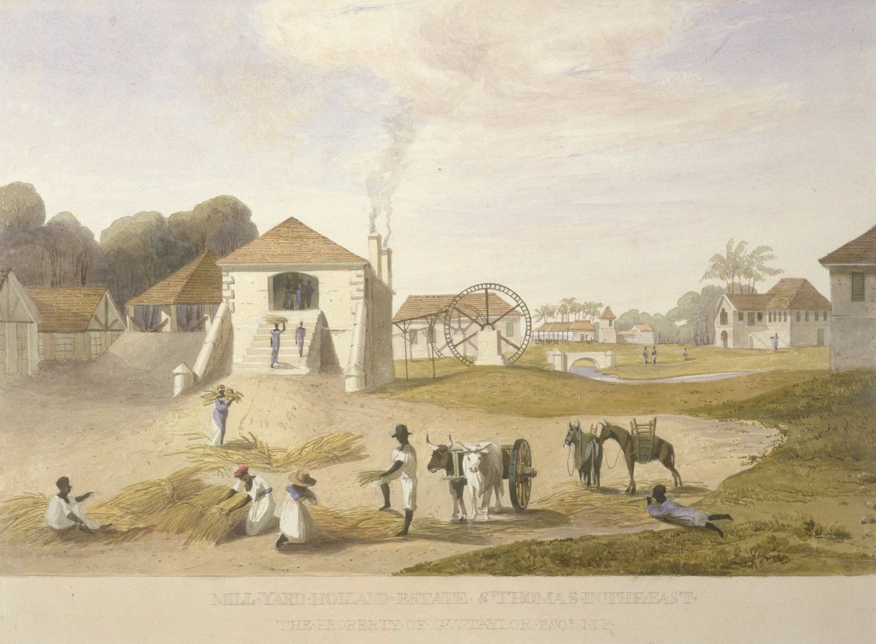 Mill Yard, Holland Estate, St. Thomas i öst av James Hakewill
