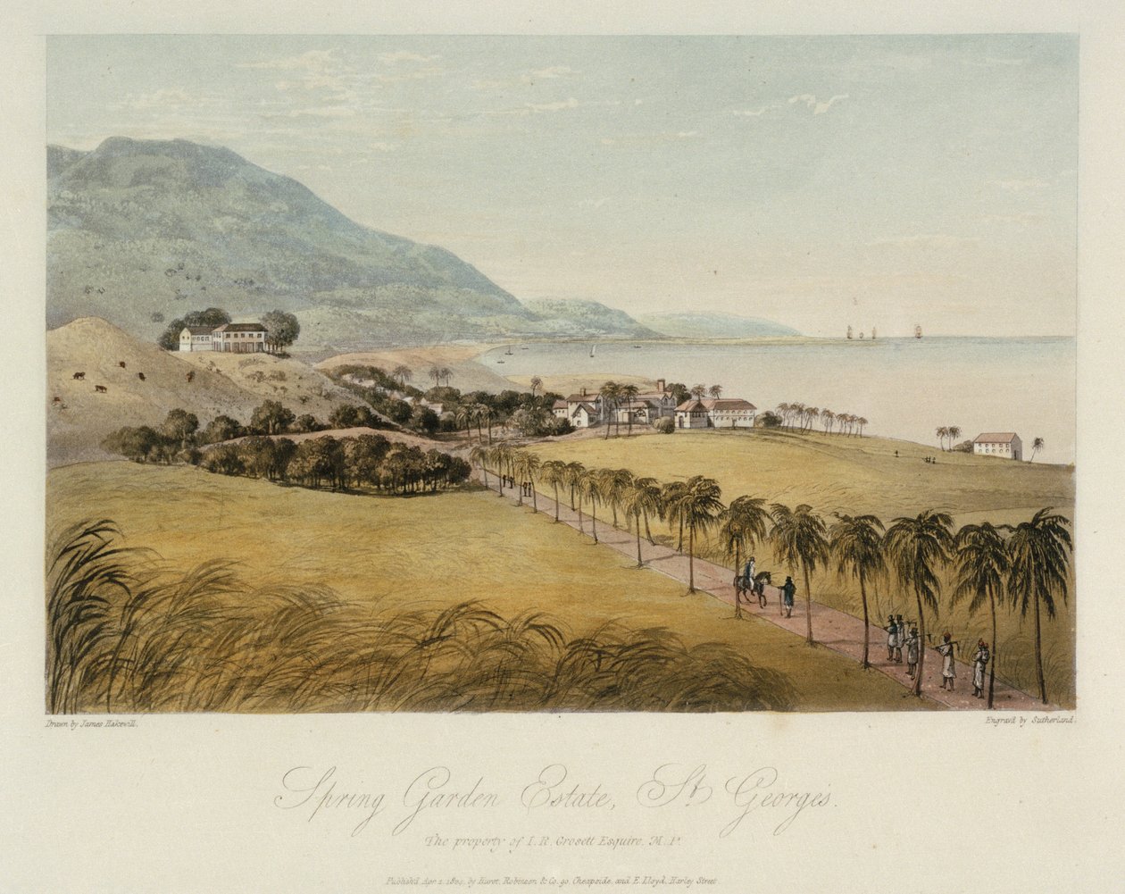 Fastigheten Spring Garden, i St George (Karibien), ägs av I R Grosett Esquire. Etsning i färg, 1 april av James Hakewill