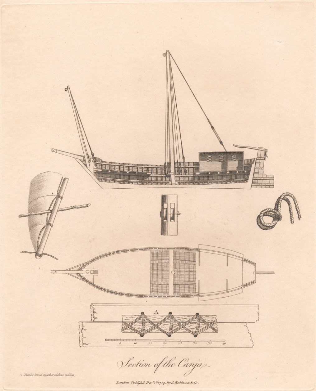 Sektion av Canja av James Heath