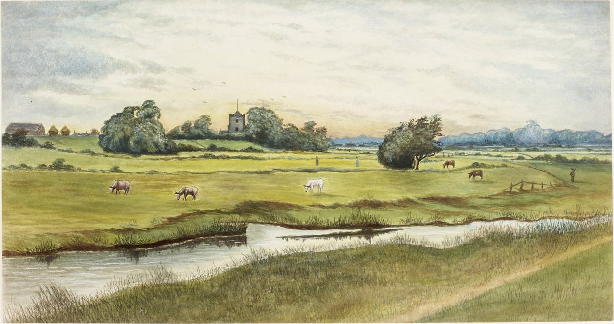 Ryton Meadows (akvarell och kroppsfärg på papper) av James Henry Cleet