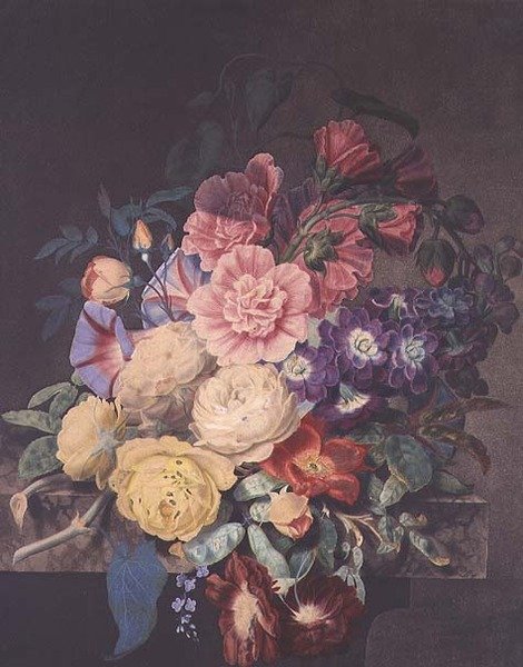 Stokrosor och rosor av James Hewlett