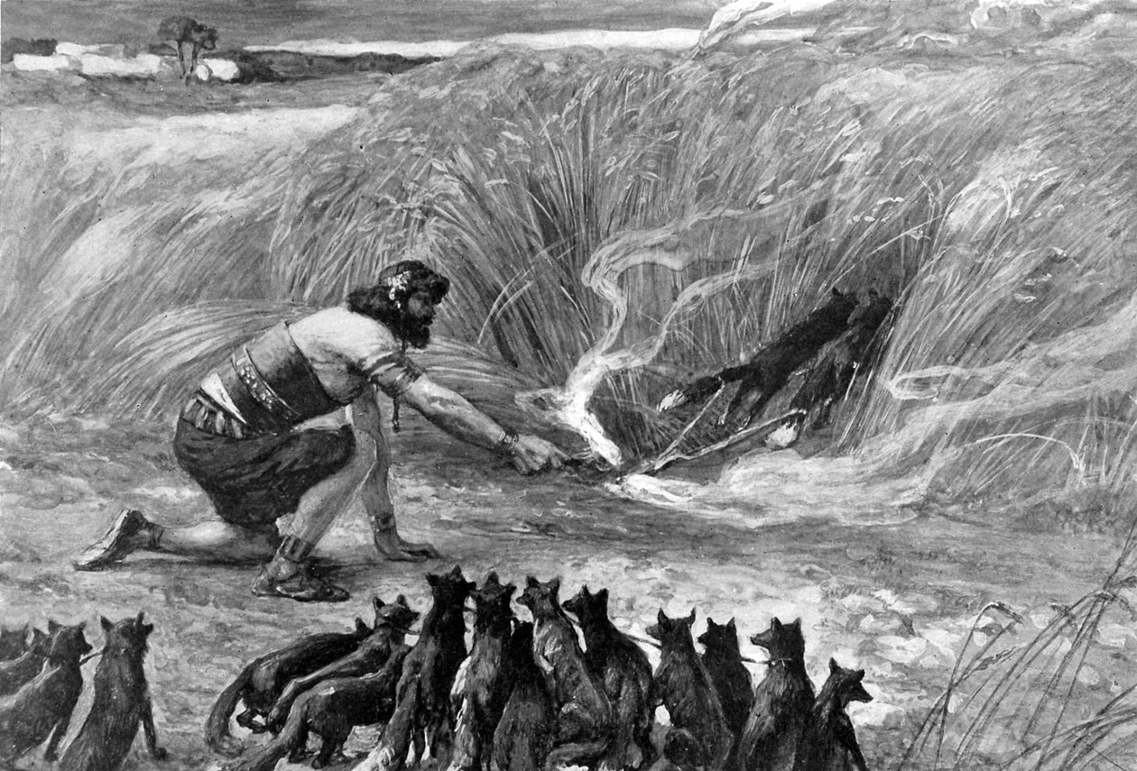 Samson och rävarna av J James Tissot - Bibeln av James Jacques Joseph (after) Tissot
