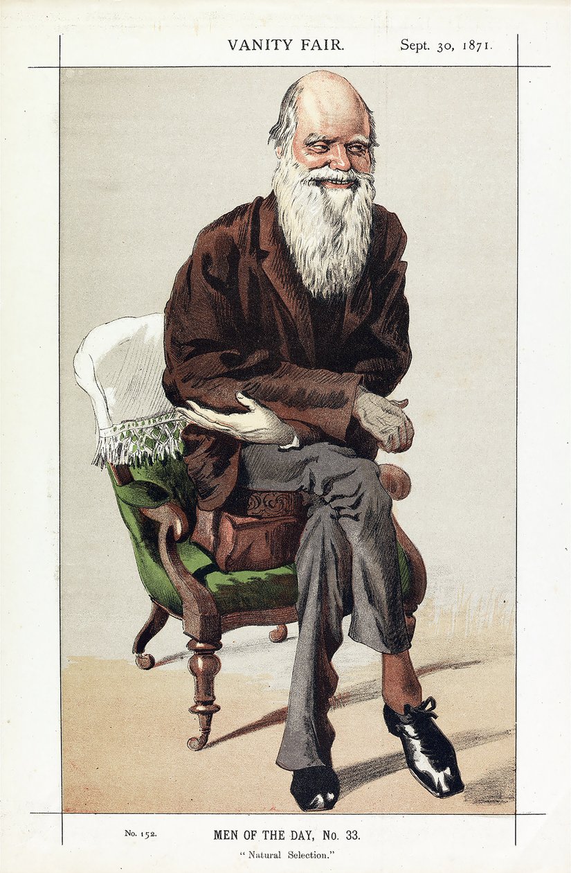 Charles Darwin, Dagens män, nr 33, Naturligt urval, från Vanity Fair, pub. 1871 av James Jacques Joseph Tissot