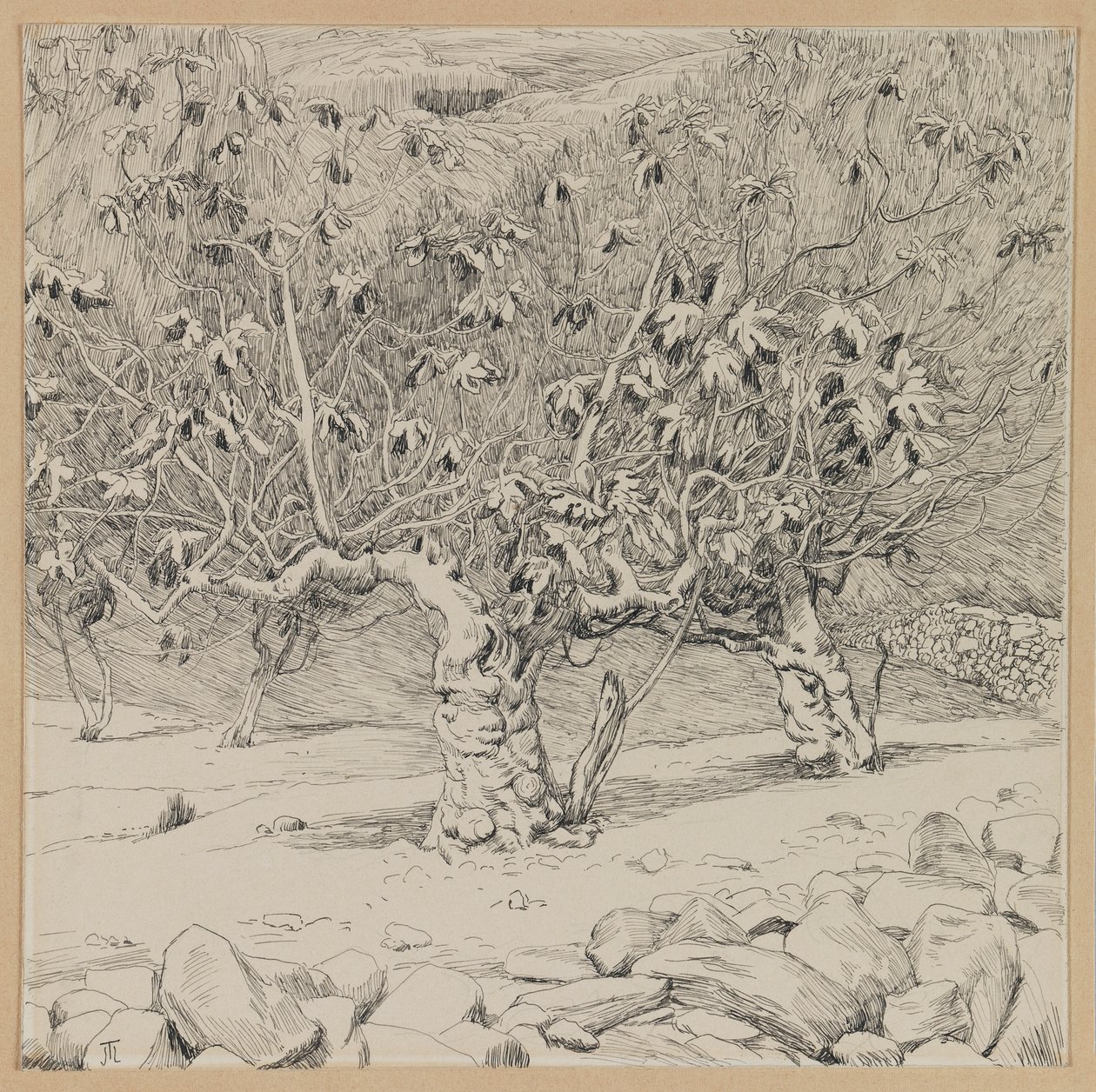 Fikonträd, Hinnoms dal, illustration från Vår Herre Jesu Kristi liv (bläck på papper) av James Jacques Joseph Tissot