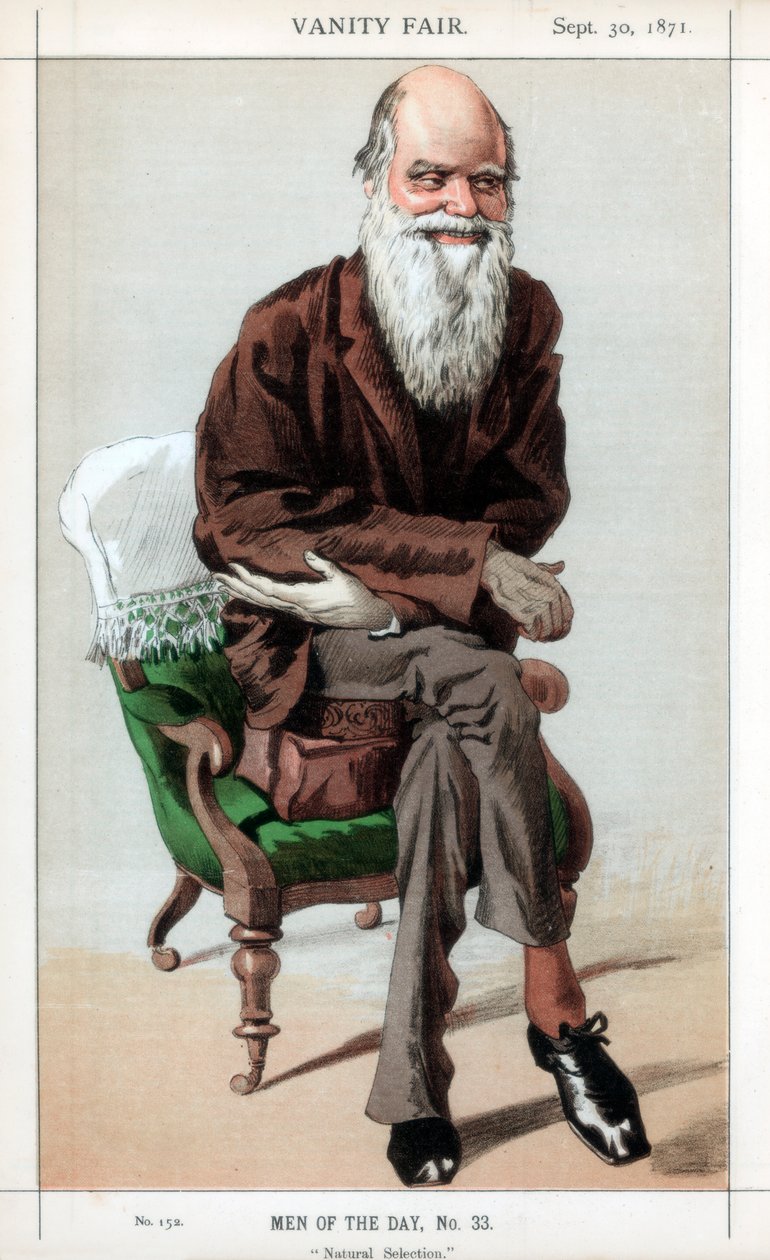 Naturligt urval, 1871. av James Jacques Joseph Tissot