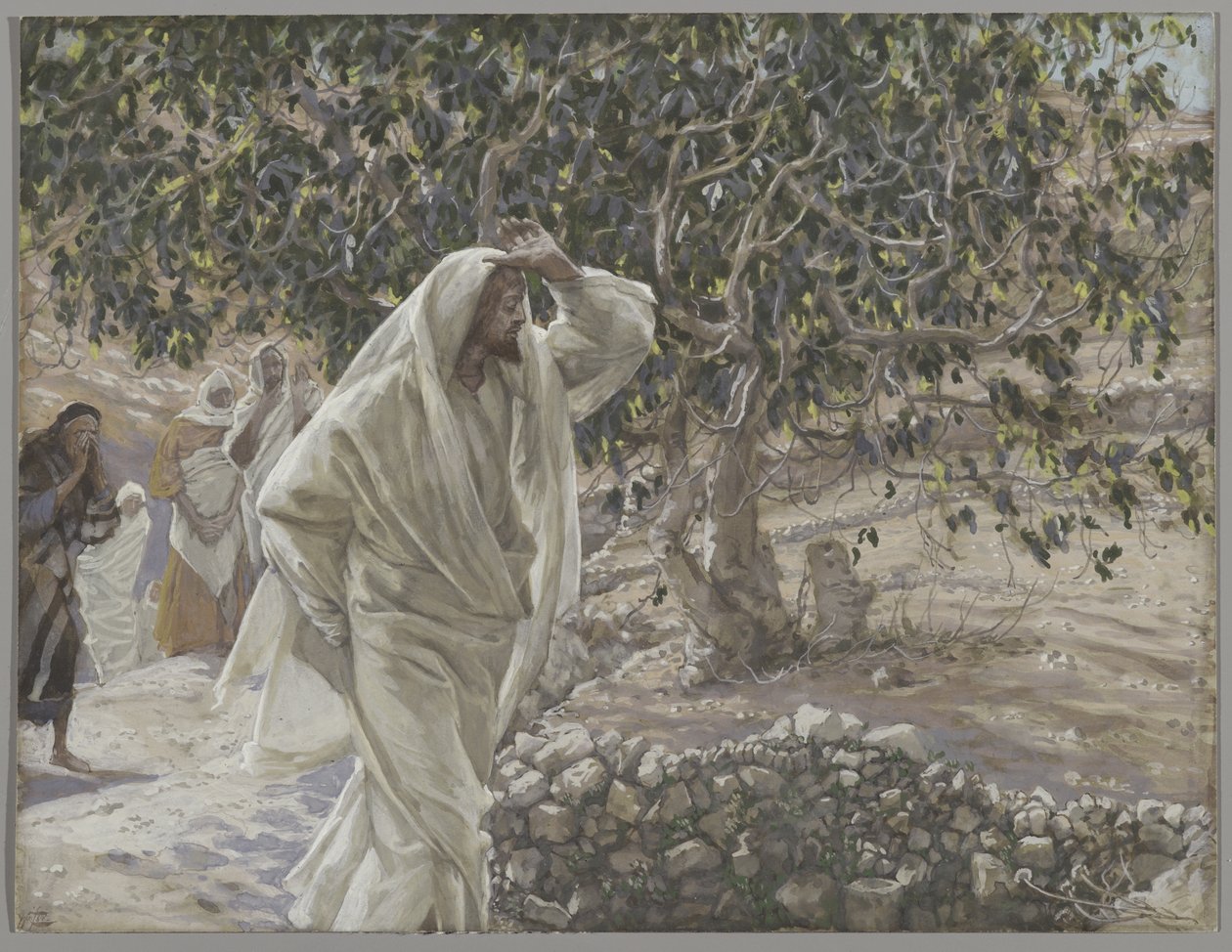 Det förbannade fikonträdet, illustration från Vår Herre Jesu Kristi liv, 1886-94 (wc över grafit på papper) av James Jacques Joseph Tissot