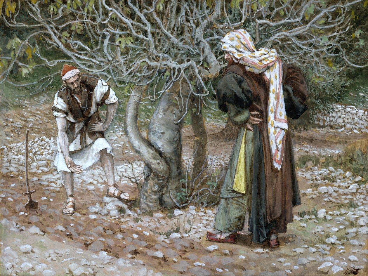 The Barren Fig Tree, illustration till The Life of Christ, c.1886-94 (wc & gouache på kartong) av James Jacques Joseph Tissot