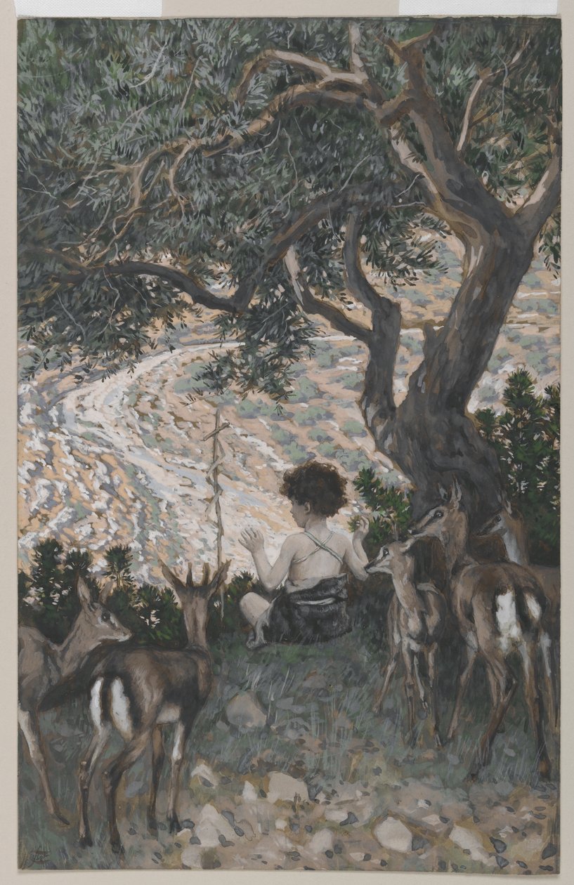 Johannes Döparens barndom, illustration från Vår Herre Jesu Kristi liv (wc över grafit på papper) av James Jacques Joseph Tissot