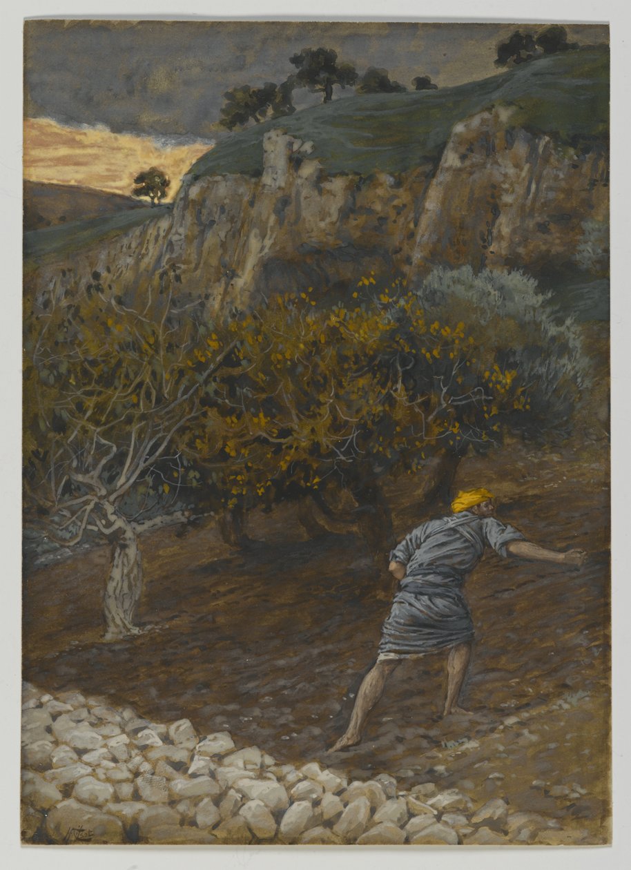 Fienden som sår, illustration från Vår Herre Jesu Kristi liv (wc över grafit på papper) av James Jacques Joseph Tissot