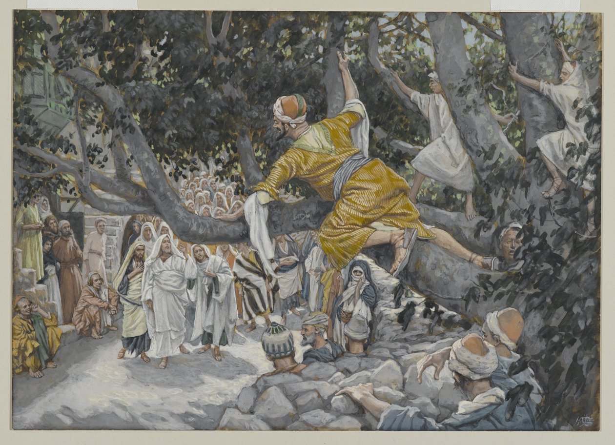 Zacchaeus in the Sycamore Iwaiting the Passage of Jesus, illustration från The Life of Our Lord Jesus Christ, 1886-96 (wc över grafit på papper) av James Jacques Joseph Tissot
