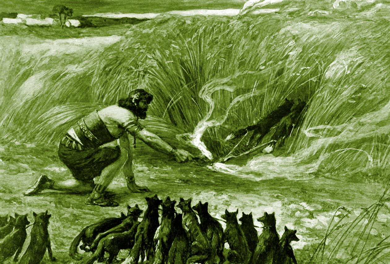 Samson och rävarna av J James Tissot - Bibeln av James Jacques Joseph after Tissot