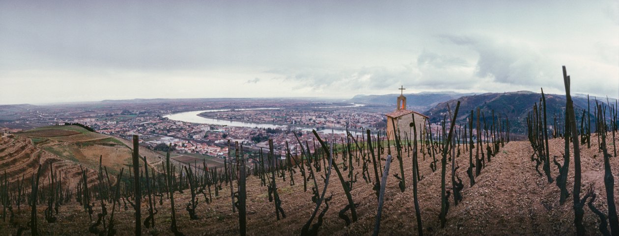 En vingård med utsikt över staden och floden Rhône. SOCIETE PAUL JABOULET AINE VIN... av James L Stanfield