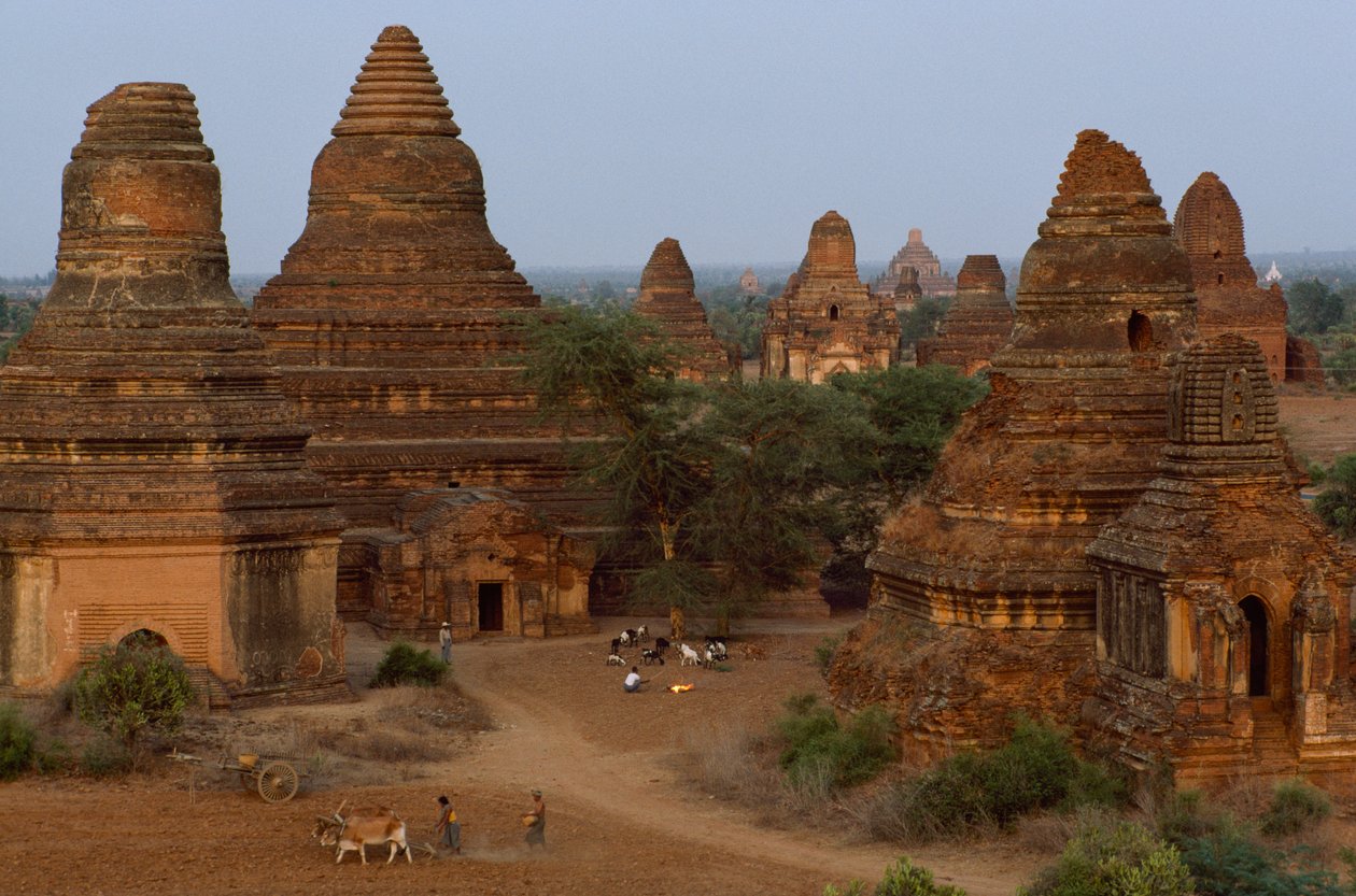 Man Aung-pagoder med jordbrukare, Myanmar
 av James L Stanfield