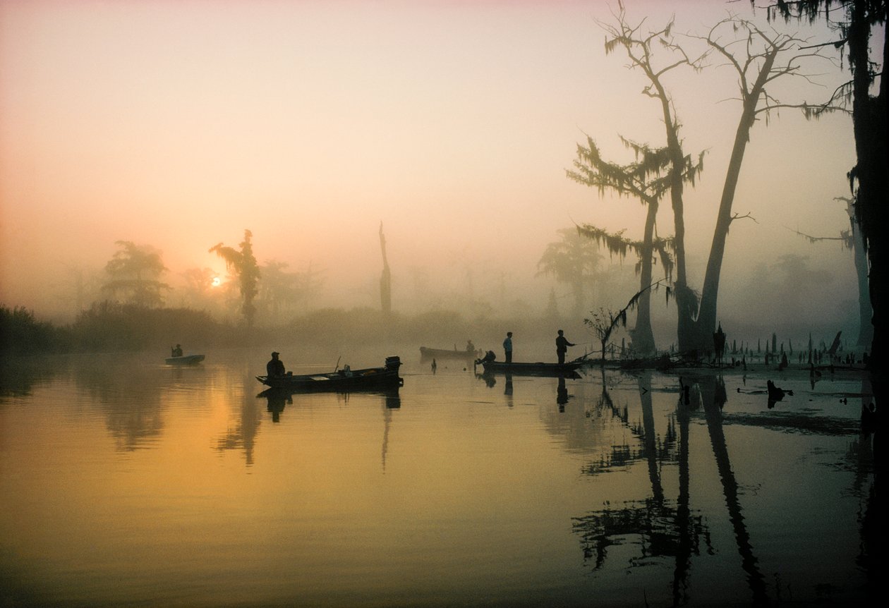Oktobersolen bränner bort morgondimman över Alligator Bayou i Louisianas delta så att... av James L Stanfield