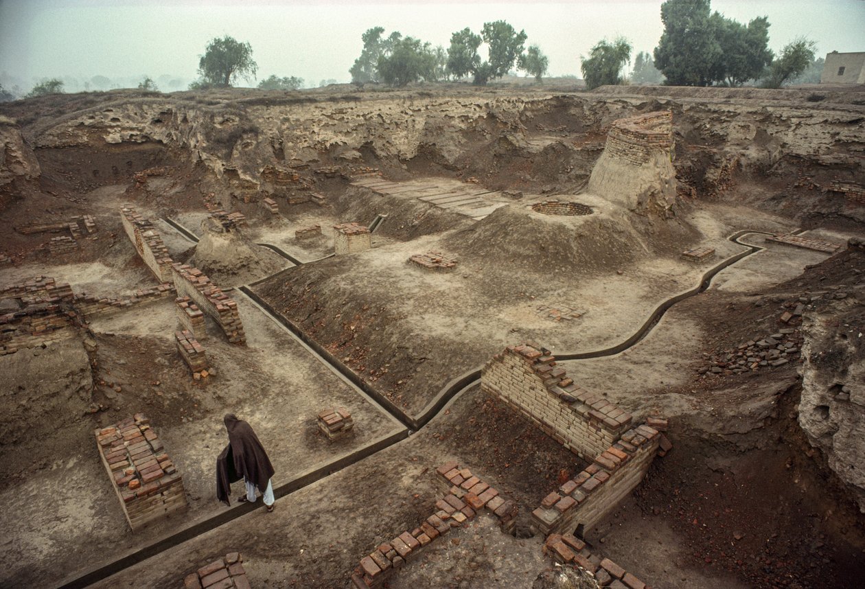 Översikt över en grop fylld med resterna av tegelväggar, en tegelbrunn. HARAPPA E... av James L Stanfield