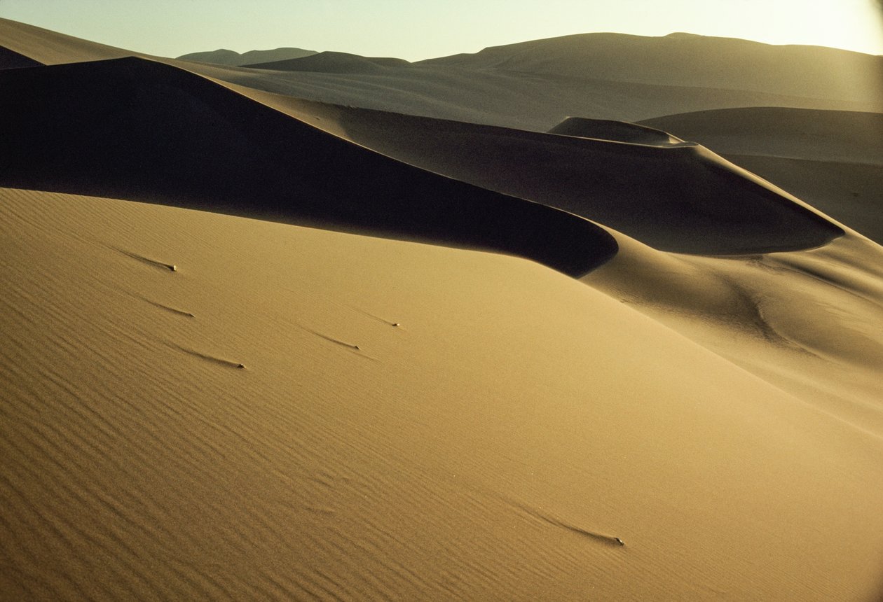 Vy över skarpt skurna och skuggade sanddyner nära Dunhuang. Gansu-provinsen, Folkrepubliken Kina. av James L Stanfield