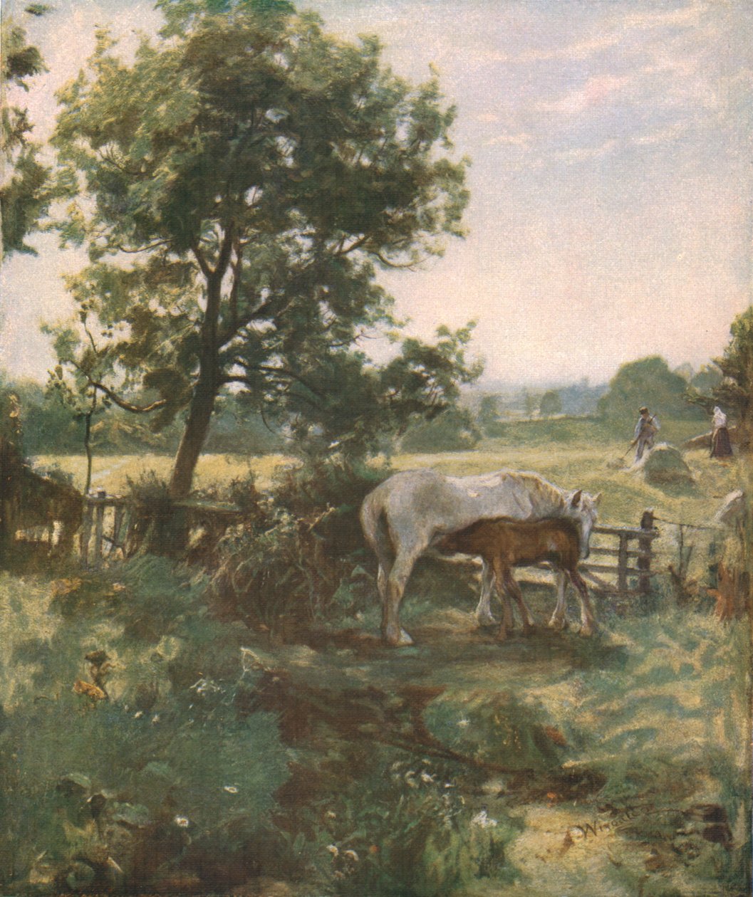Sommartid, sent 1800-tidigt 1900-tal, c1930. av James Lawton Wingate