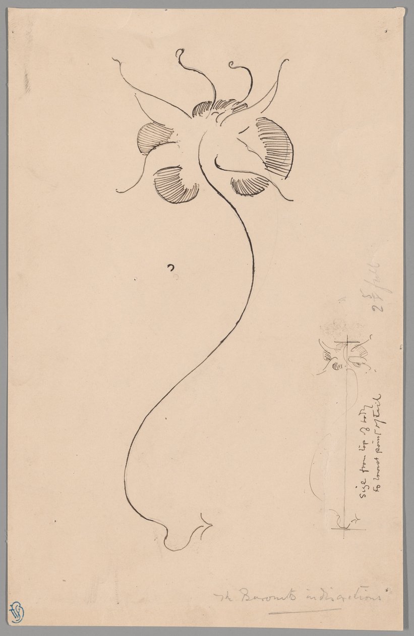 Fjäril (recto); Studie av fjäril (verso) av James McNeill Whistler
