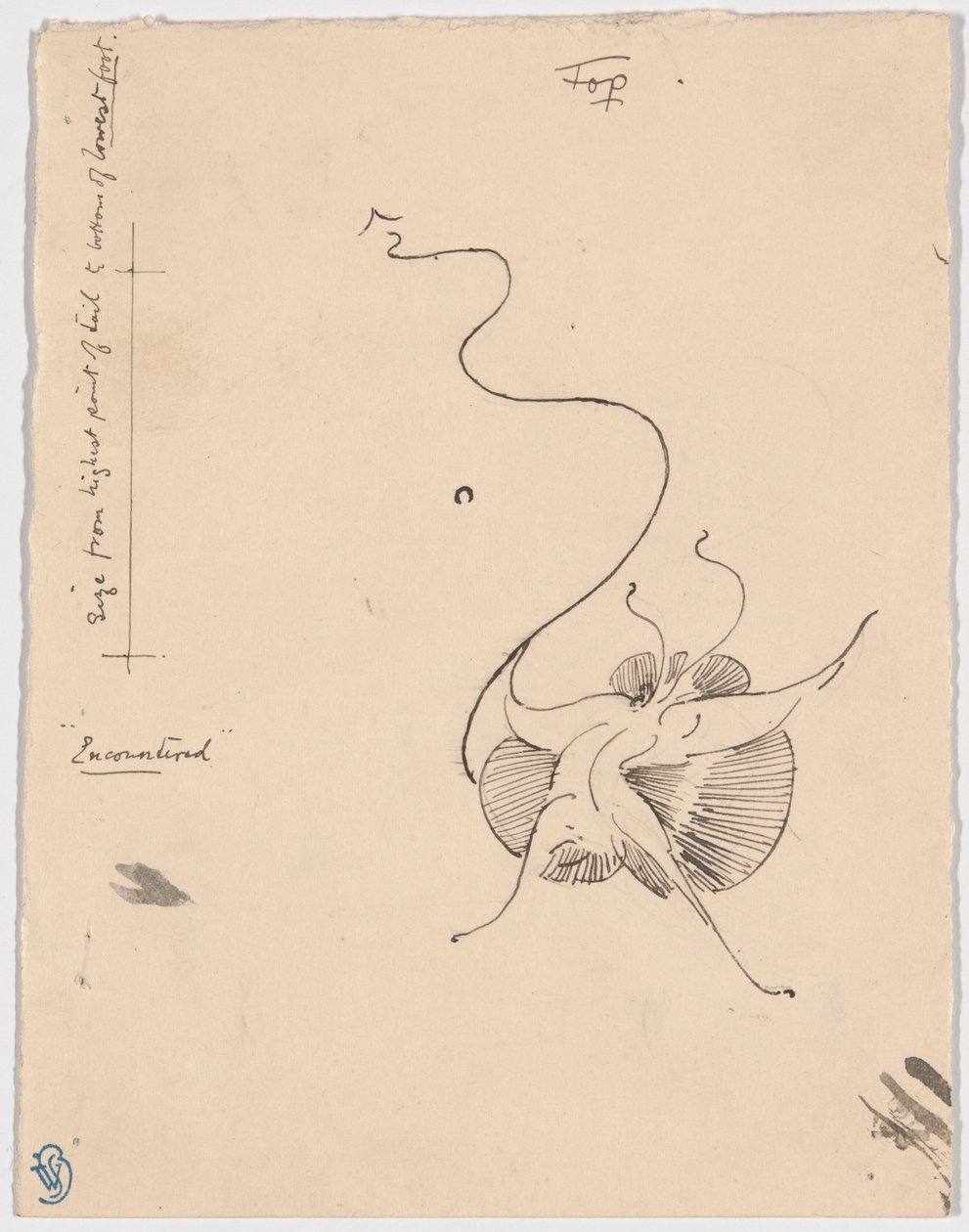 Fjäril "Encountered" (recto); Skiss till bakstycke (verso) av James McNeill Whistler