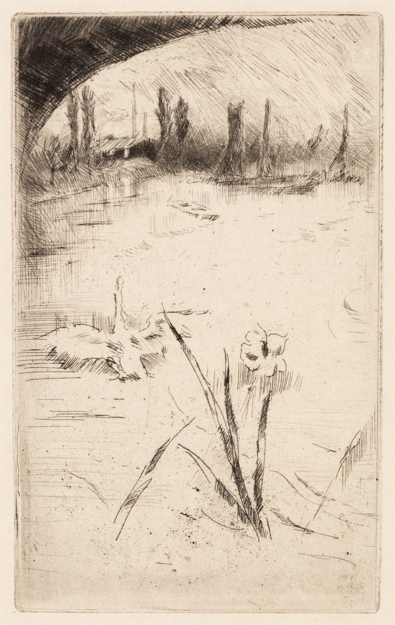 Skiss efter Cecil Lawsons "Swan and Iris" av James McNeill Whistler