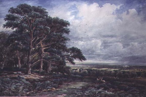 Bradgate Park nära Leicester, akvarell av James Orrock