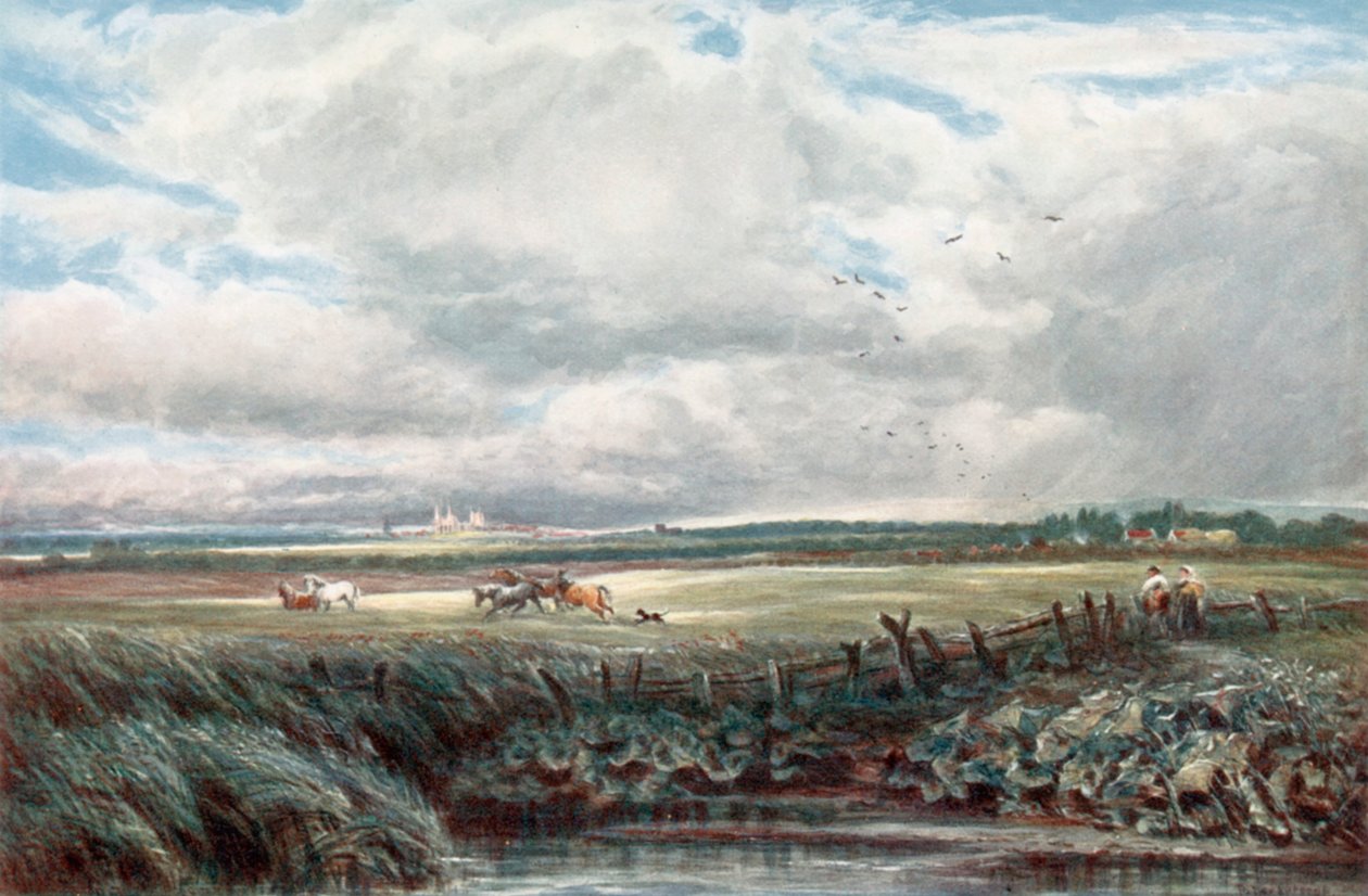  av James Orrock