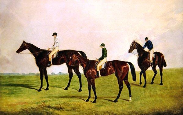 Racehorses Jockeys Up (olja på duk) av James Pollard
