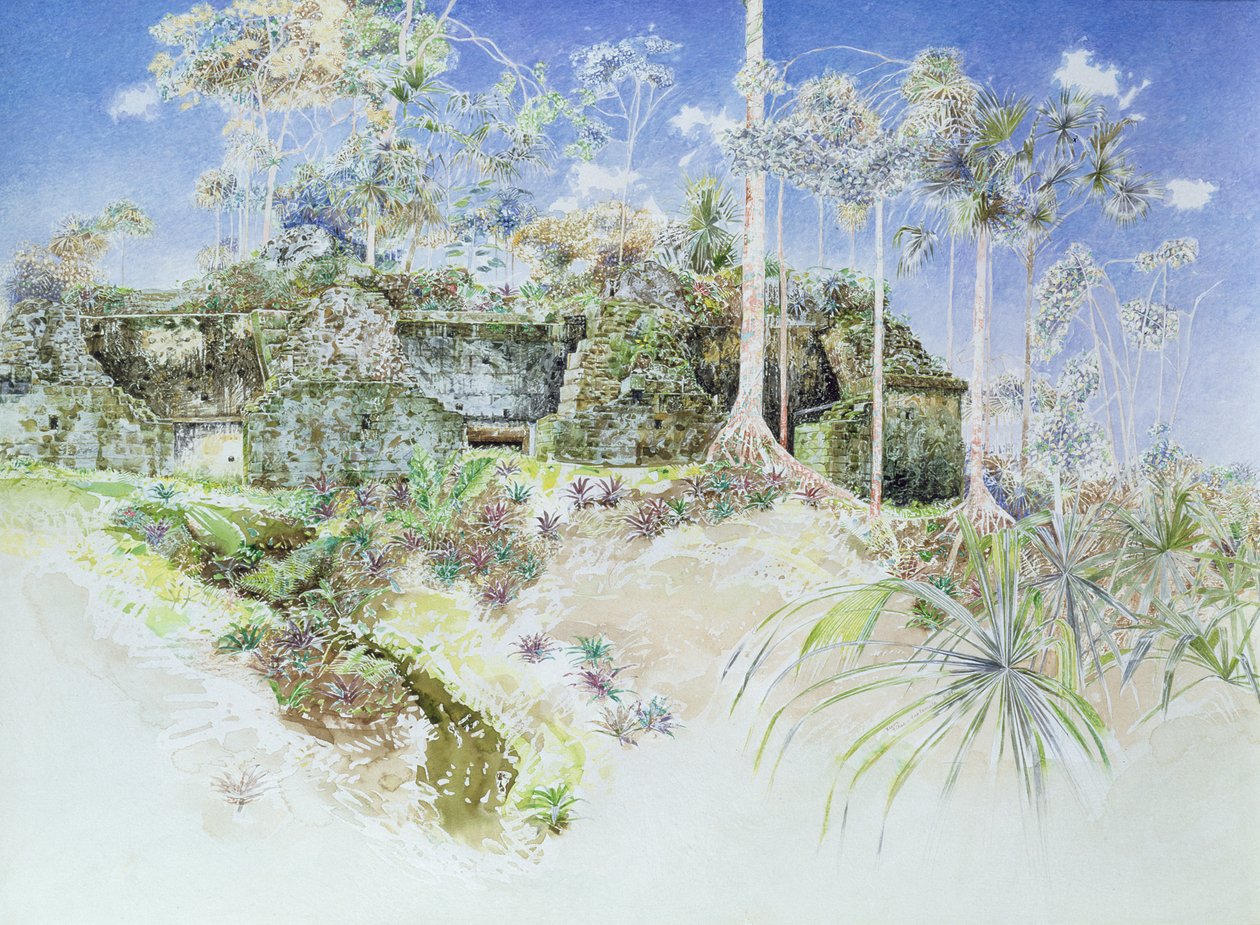Ruined Temple, Tikal, Guatemala, 1984 (wc on paper) av James Reeve
