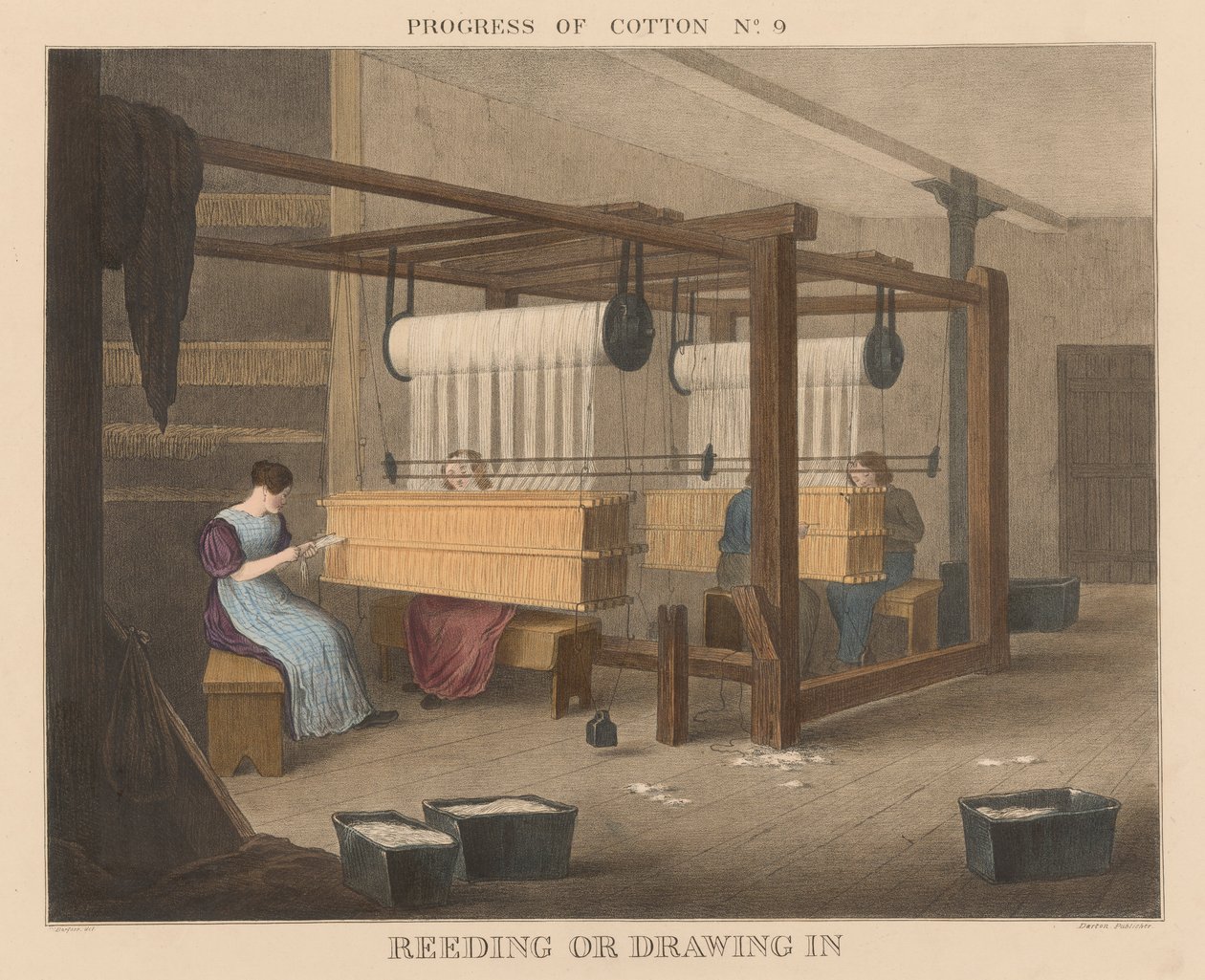 Progress of Cotton: #9 - Reeding eller dra in av James Richard Barfoot