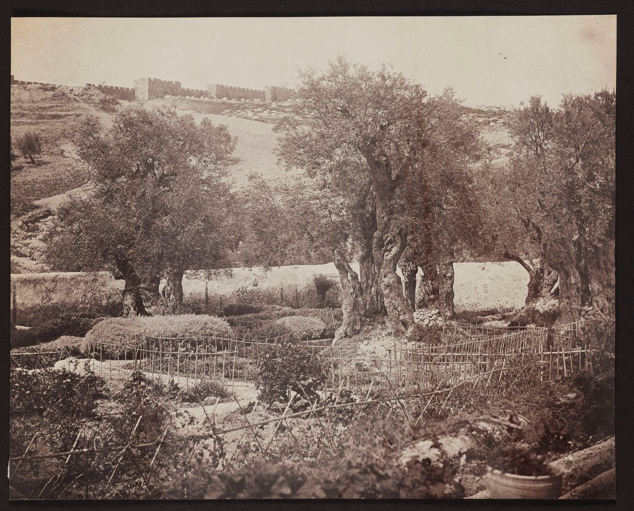 Getsemane [Jerusalem. Olivberget] av James Robertson