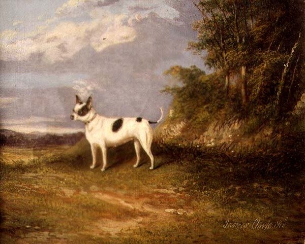 En terrier i ett landskap av James Senior Clark