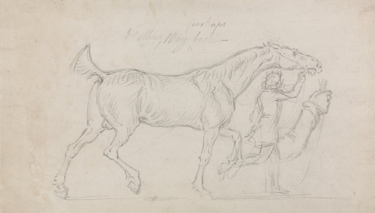 Man som leder en travhingst till höger (grafit och svart krita på papper) av James Seymour