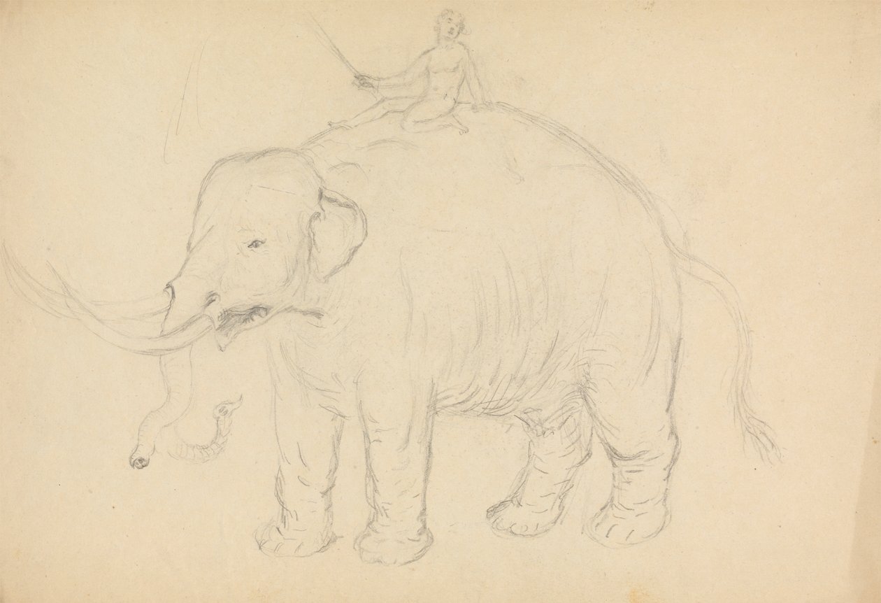 Elefant med ryttare av James Sowerby