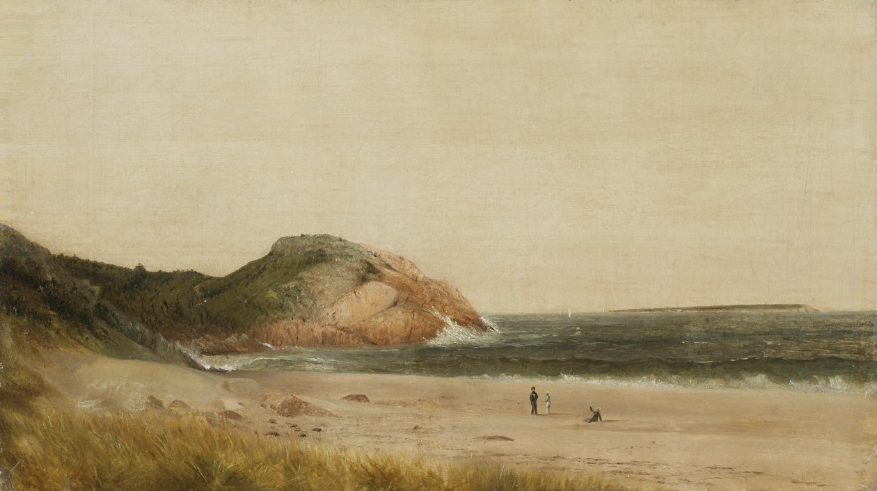 Strandscen (olja på duk) av James Suydam