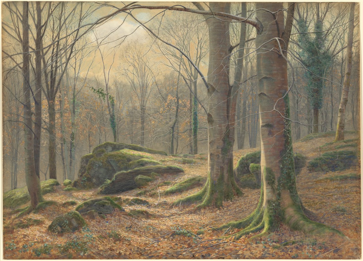 En vintermorgon, rimfrost smälter av James Thomas Watts