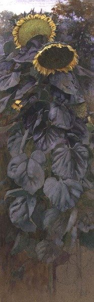 Solrosor (akvarell) av James Valentine Jelley