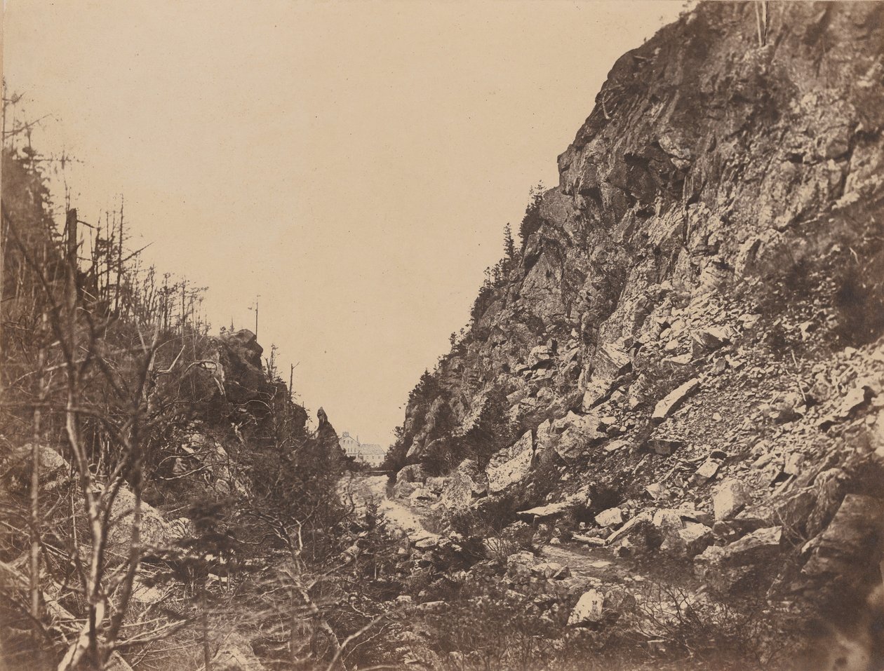 Chef för White Mountain Notch, Crawford House, 1854. av James Wallace Black